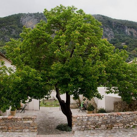 Casa Rural El Vihuelo エル・ボスケ エクステリア 写真