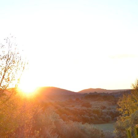 Casa Rural El Vihuelo エル・ボスケ エクステリア 写真