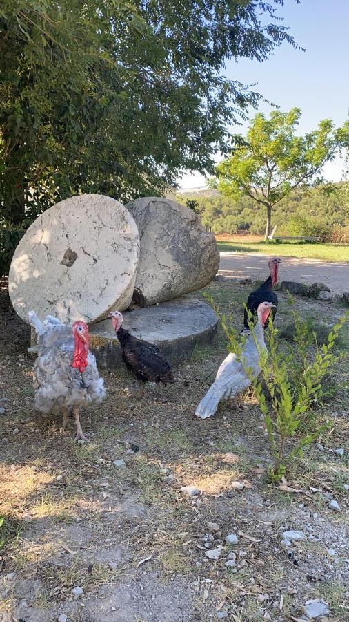Casa Rural El Vihuelo エル・ボスケ エクステリア 写真