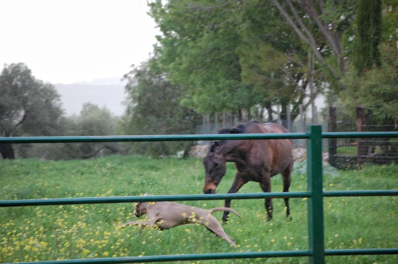 Casa Rural El Vihuelo エル・ボスケ エクステリア 写真
