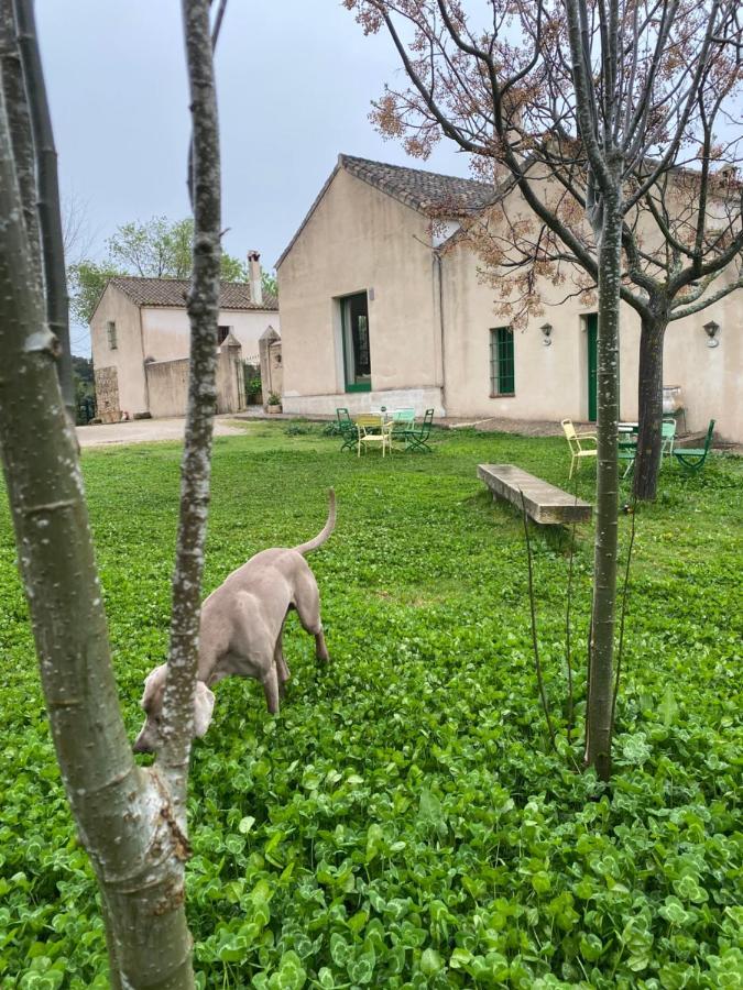 Casa Rural El Vihuelo エル・ボスケ エクステリア 写真