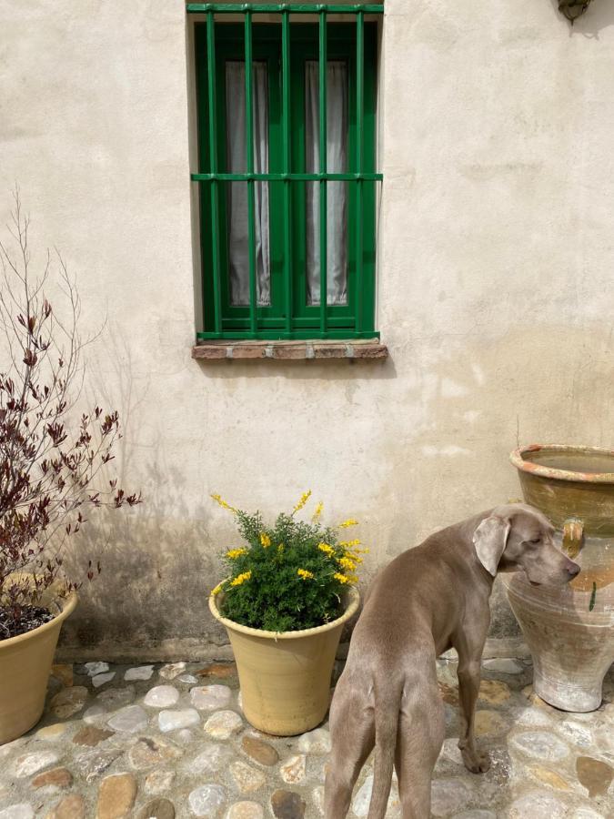 Casa Rural El Vihuelo エル・ボスケ エクステリア 写真