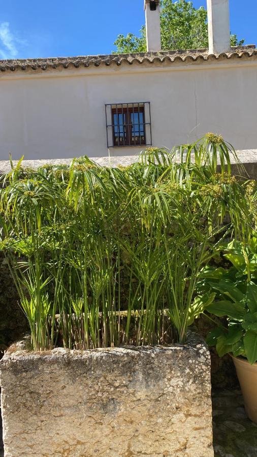 Casa Rural El Vihuelo エル・ボスケ エクステリア 写真