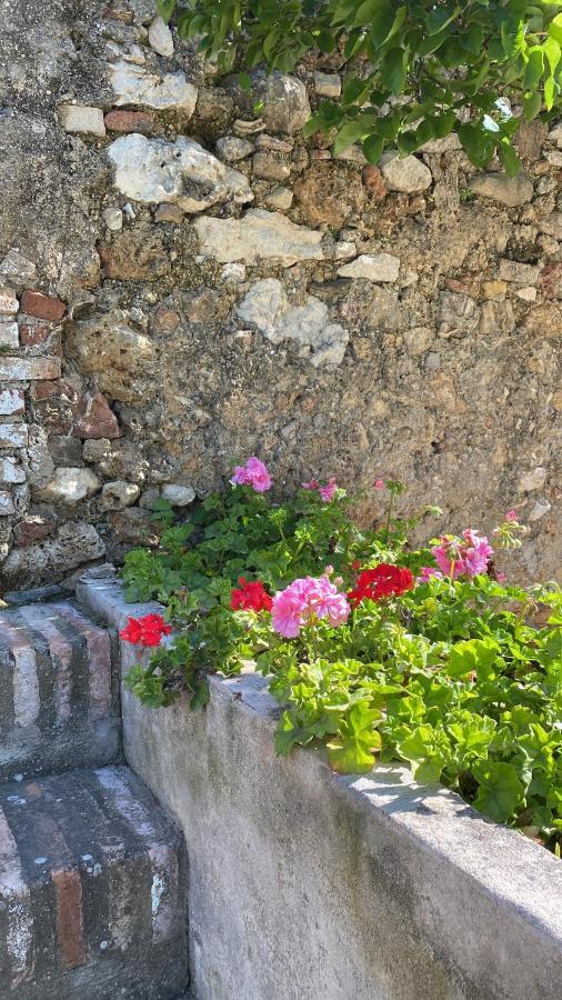 Casa Rural El Vihuelo エル・ボスケ エクステリア 写真