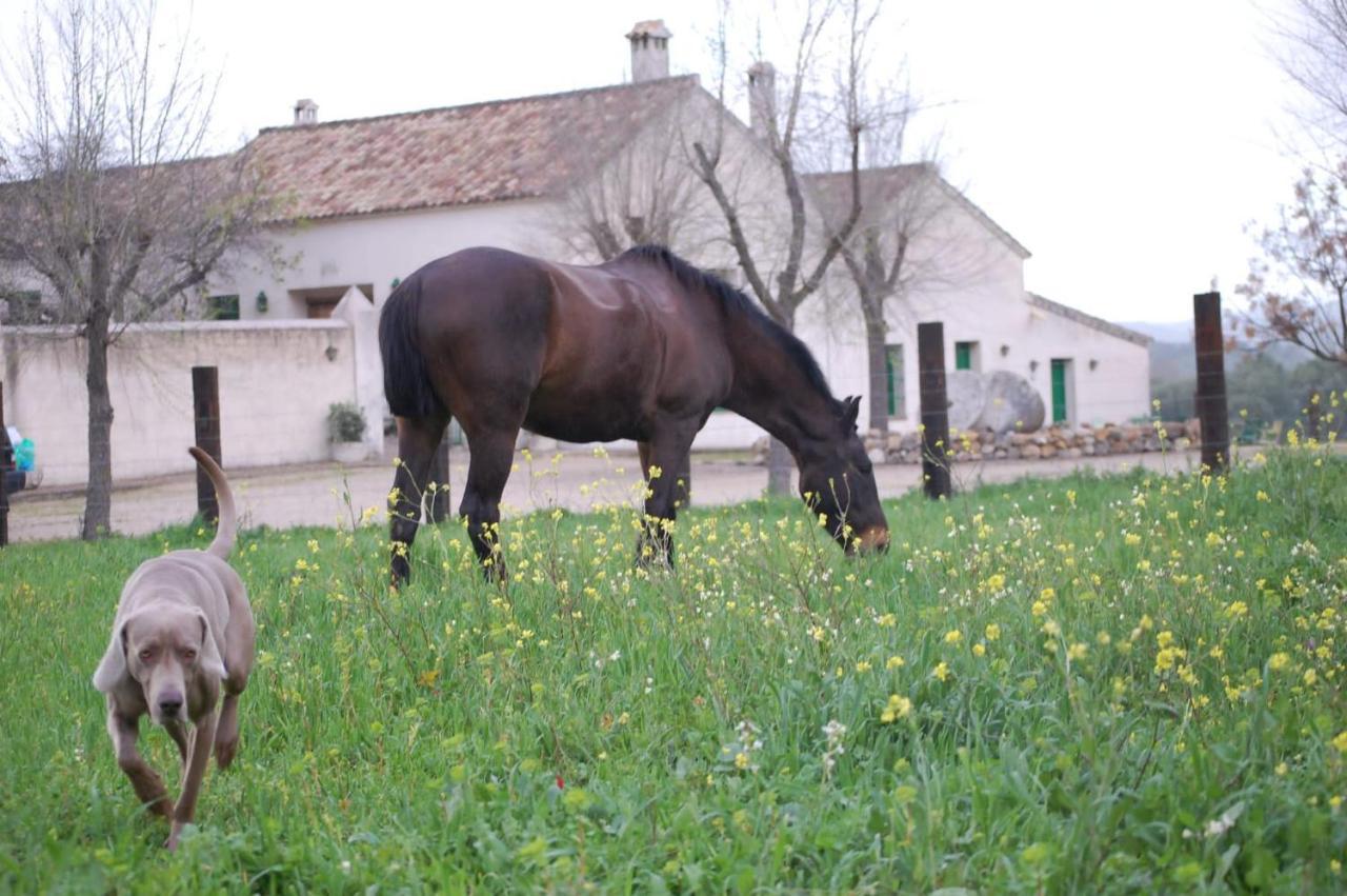 Casa Rural El Vihuelo エル・ボスケ エクステリア 写真