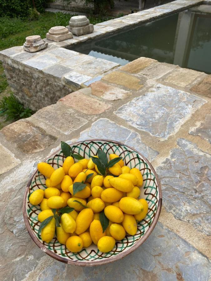 Casa Rural El Vihuelo エル・ボスケ エクステリア 写真